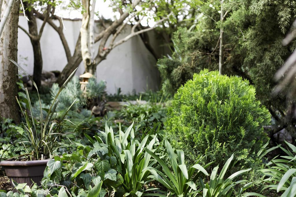 בלומפונטייין @The Villa Guest House מראה חיצוני תמונה